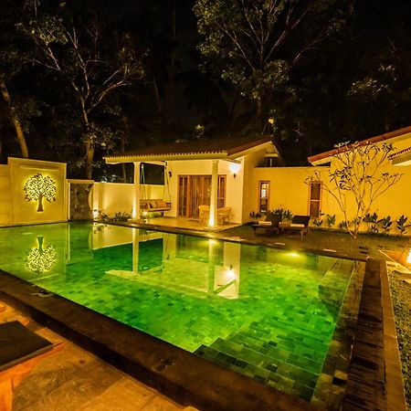 בנטוטה Tree Of Life Resort מראה חיצוני תמונה