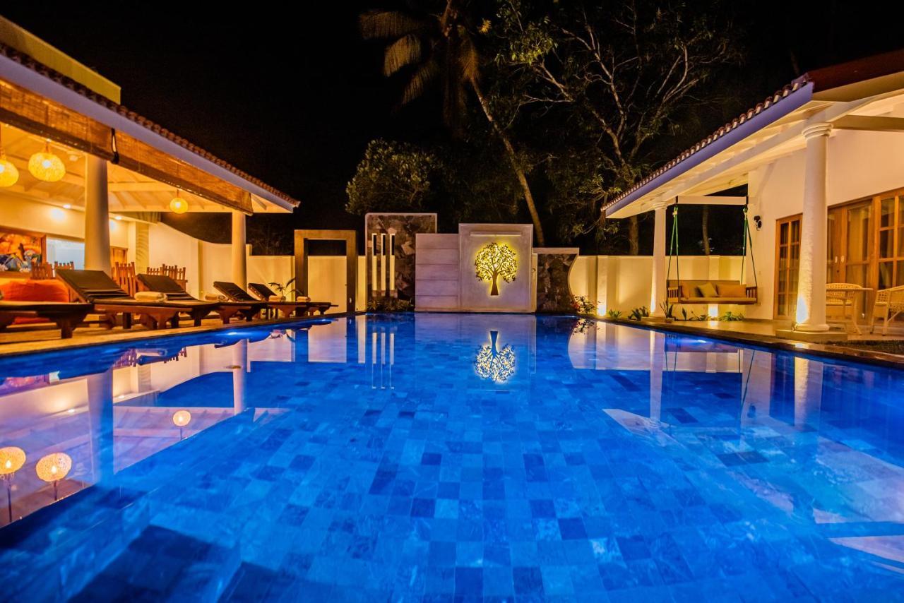 בנטוטה Tree Of Life Resort מראה חיצוני תמונה