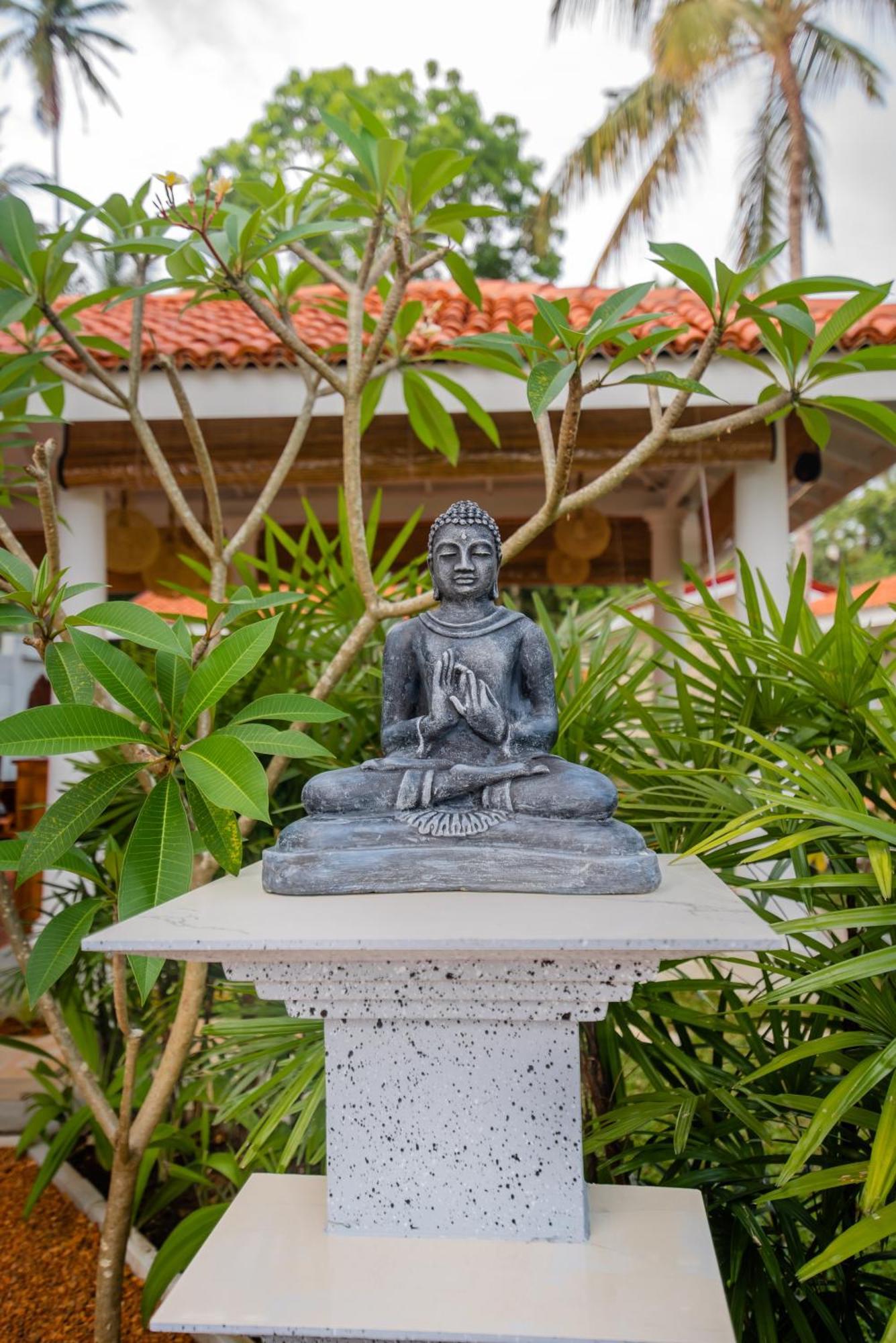 בנטוטה Tree Of Life Resort מראה חיצוני תמונה